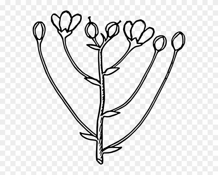 Roses Flower Arrangement Clip Art At Clker - Buds Black And White #299822