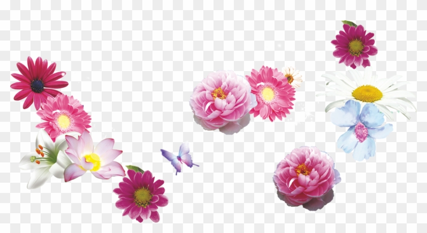 Flower Chrysanthemum Floral Design Pink - Flower Chrysanthemum Floral Design Pink #299951