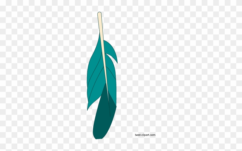 Teal Feather, Free Clip Art Image - Clip Art #299932