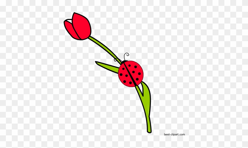 Ladybug On A Flower Free Clip Art Image - Clip Art #299946