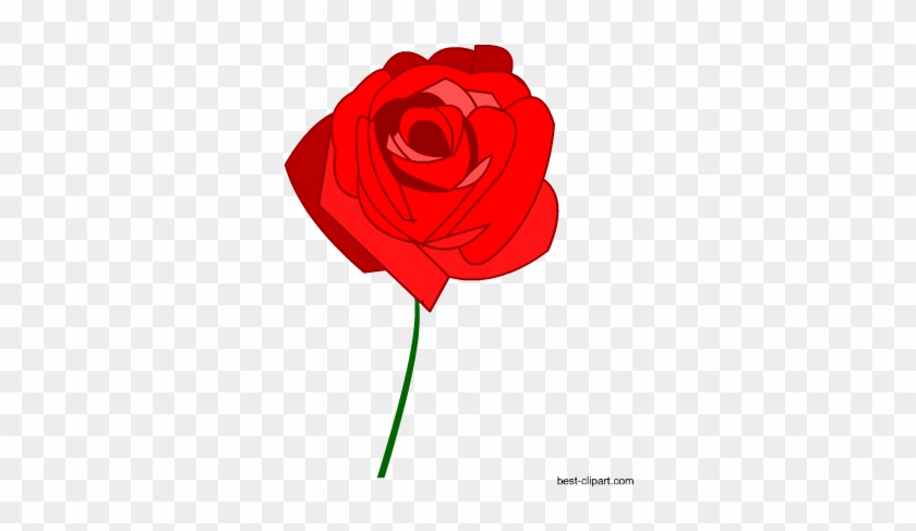Red Rose Free Clip Art Image - Garden Roses #299956