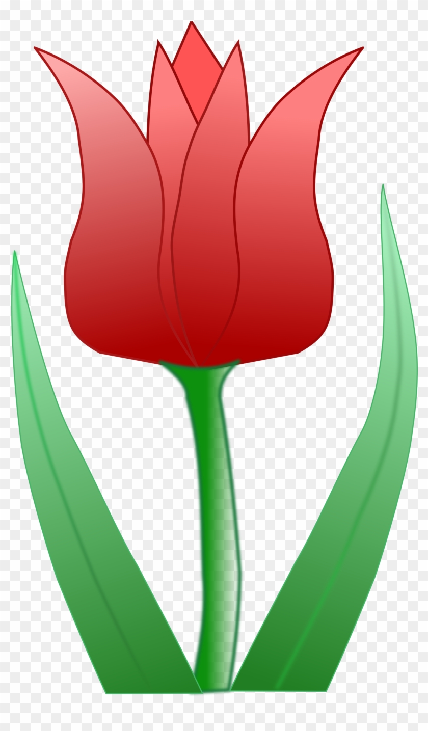 Big Image - Cartoon Tulip Flower #299966