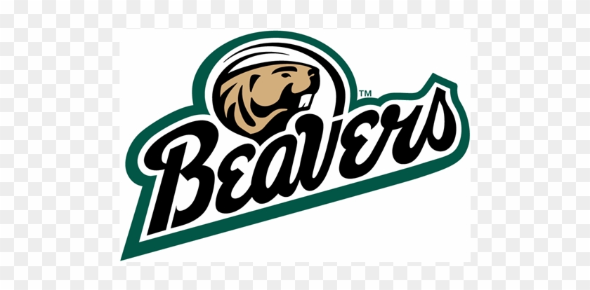 Bemidji State Beavers 2004 Pres Alternate Logo Light - Bemidji State Beavers Logo #299976