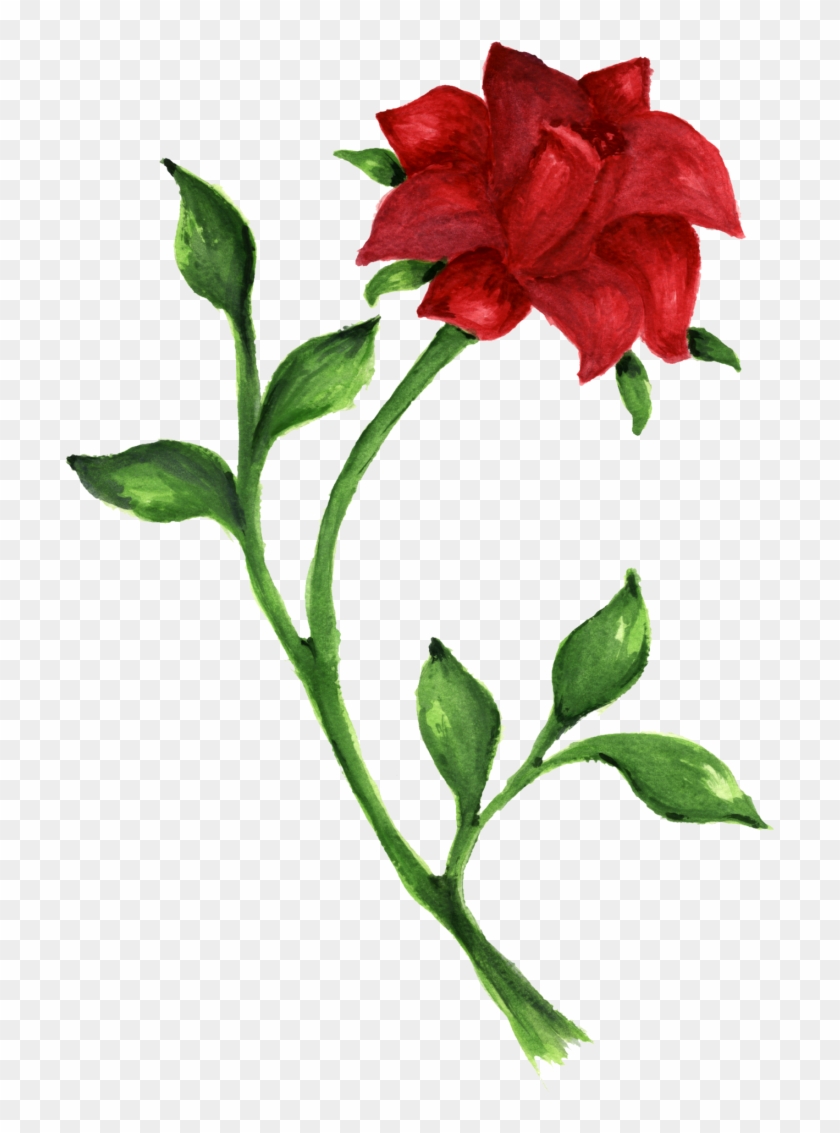 Rose Drawing Desktop Wallpaper Clip Art - Rose Drawing Desktop Wallpaper Clip Art #300017