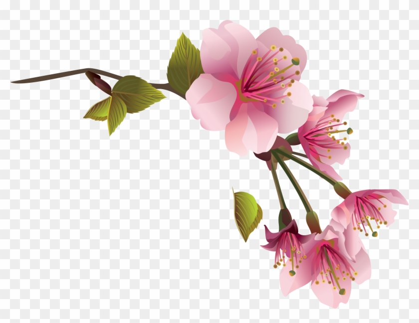 Flower Spring Magnolia Clip Art - Flower Spring Magnolia Clip Art #300149