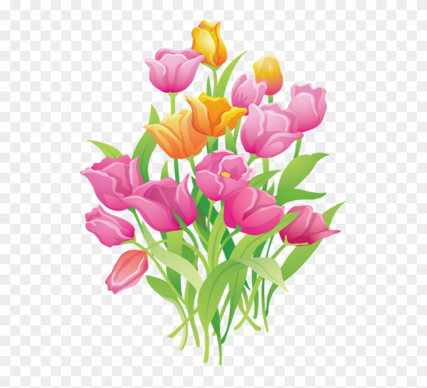 Flower Clipart, Pretty Pictures, Flower Pictures, Art - Tulip Cartoon Png #300028