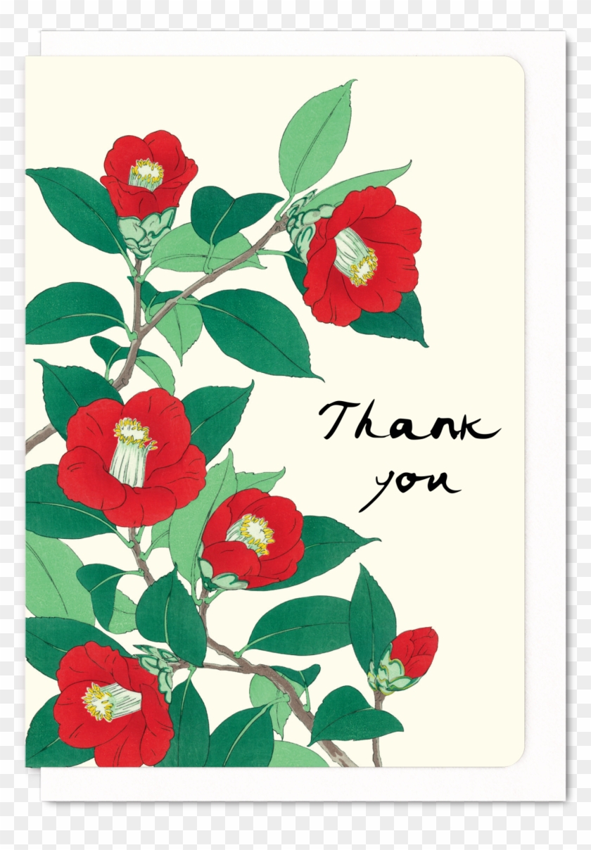 Thank You Camellia - Woodblock Japanese Camellias #300044