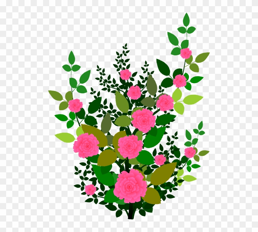 Rose Clipart Rose Plant - Rose Shrub Clipart #300060
