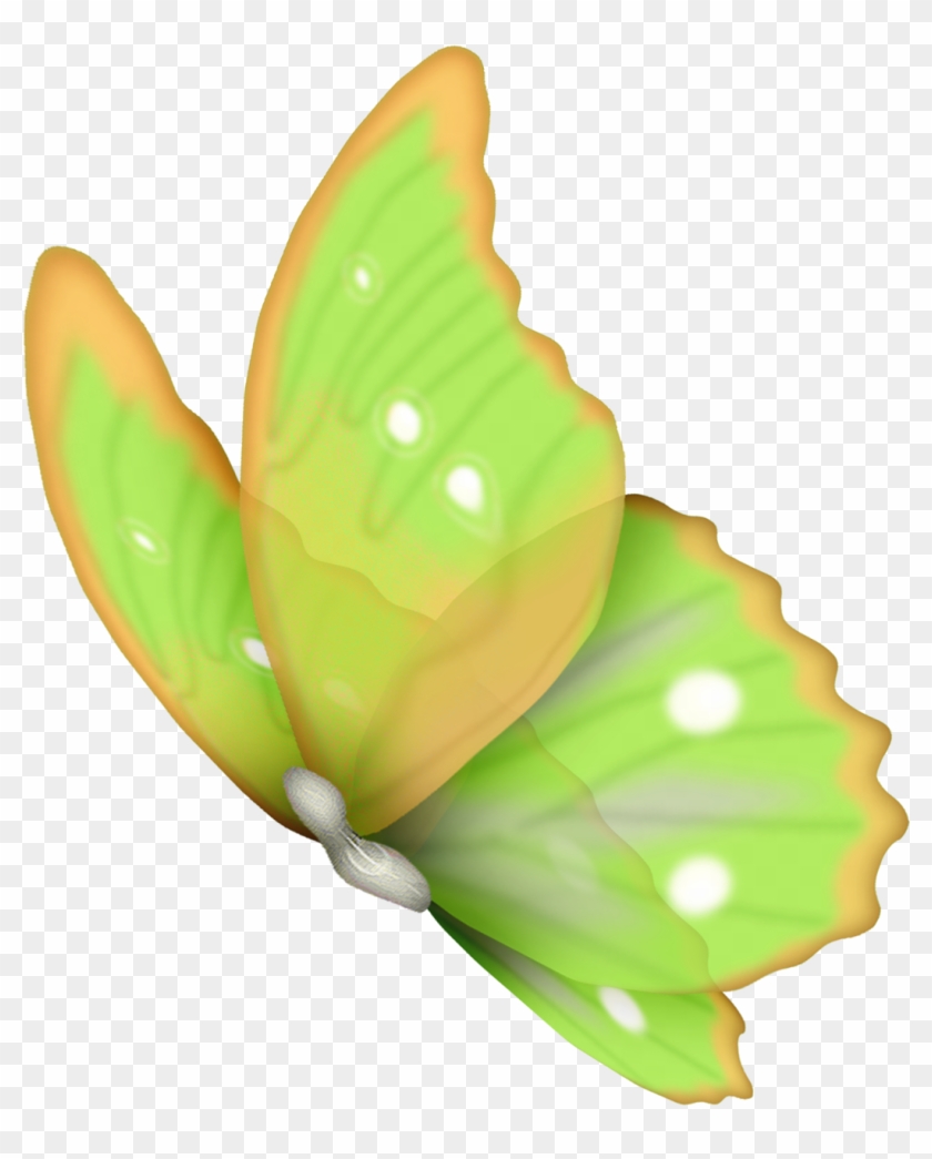 Butterfly Flower Clip Art - Borboleta Com Fundo Transparente #300128