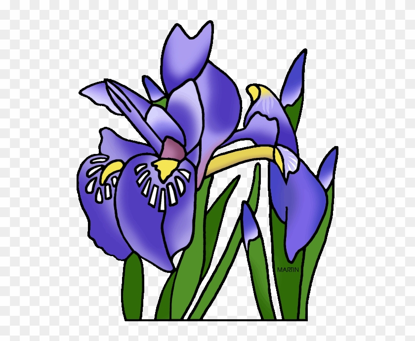 Michigan State Wild Flower Dwarf Lake Iris - Tennessee State Flower Png #300132