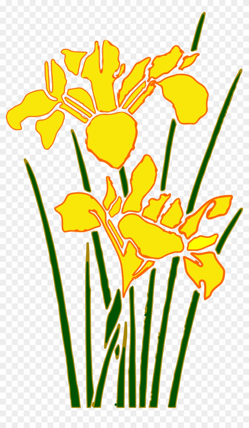 Iris 2 - Yellow Iris Transparent Clipart #300142