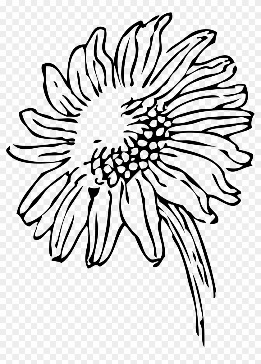 Sunflowers - Clipart - Black - And - White - Sunflowers Clip Art Black And White #300143