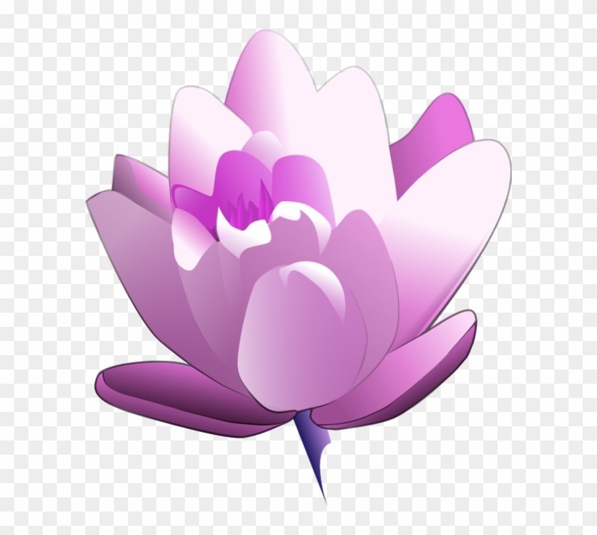 Water Lily Flower Clip Art - Water Lily Clipart #300307