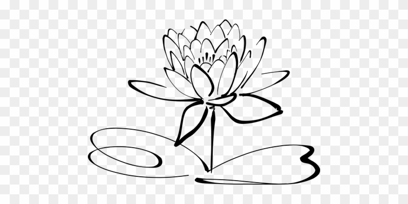 Lotus Flower Line Art Blossom Bloom Petal - Lotus Black And White #300336