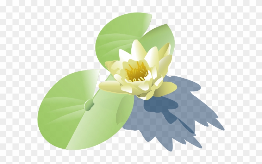 Lily Pad Clip Art #300356