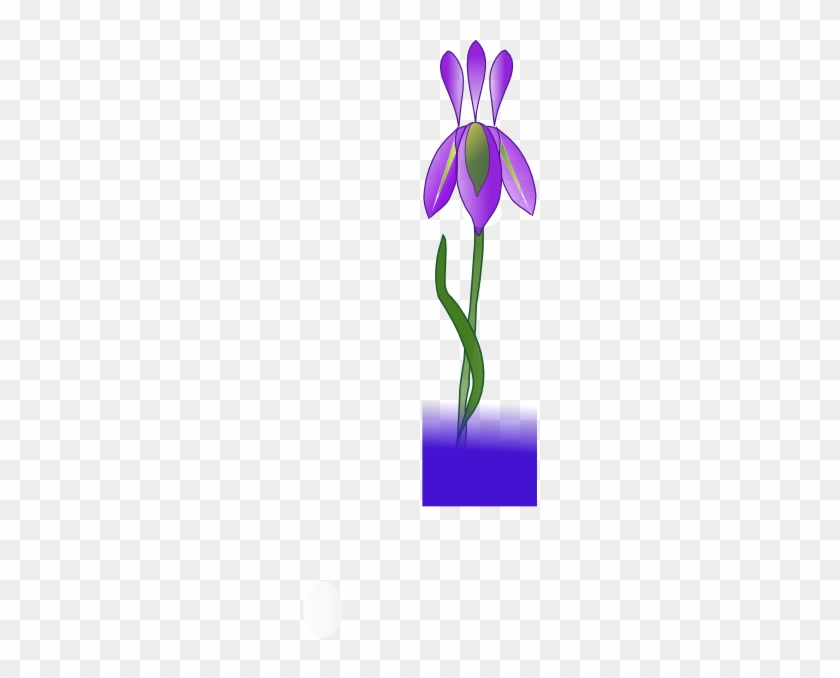 Iris - Clipart - Portable Network Graphics #300372