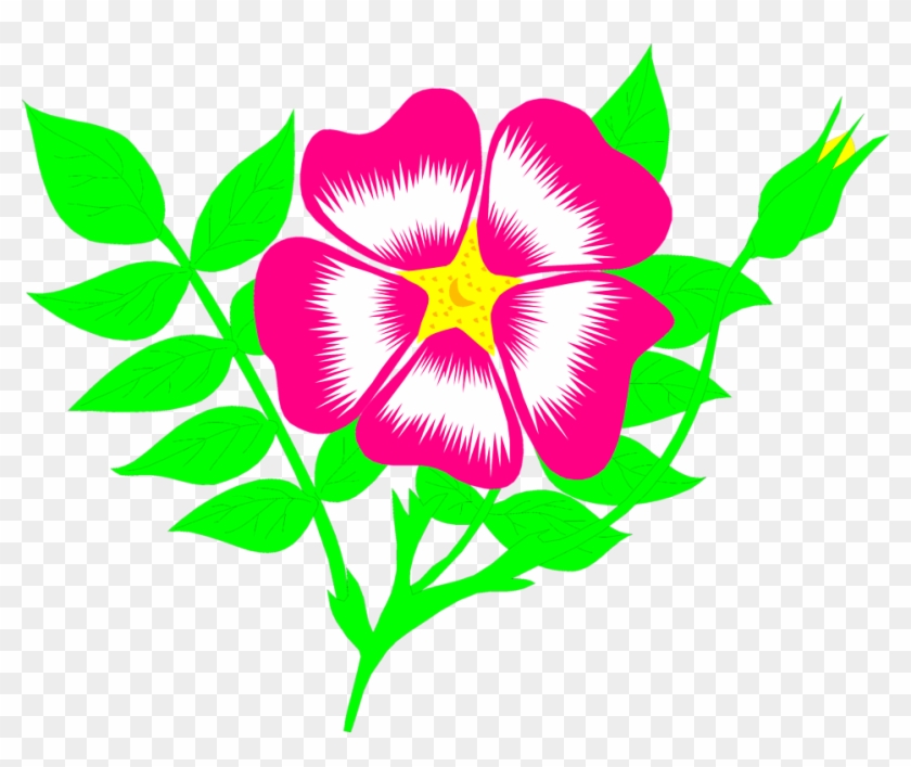 Free Stock Photos - Animated Flowers - Free Transparent PNG Clipart Images Download Free Stock Photos - Animated Flowers - Free Transparent PNG Clipart Images Download