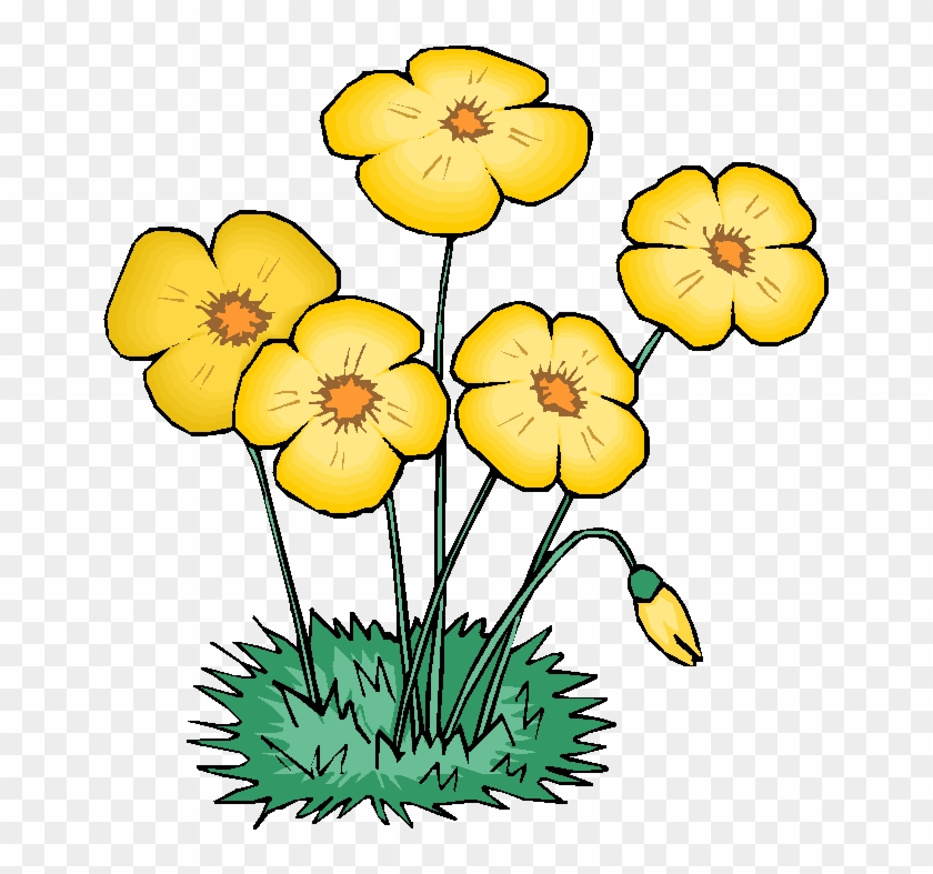 Flower Sale - Flowers Clipart Animation #300481
