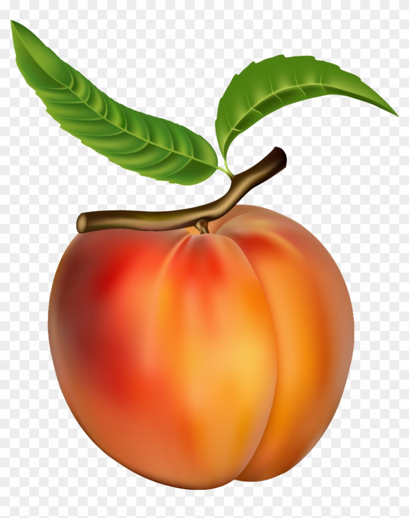 Peach Png Clipart - Peach Clipart Png #300634