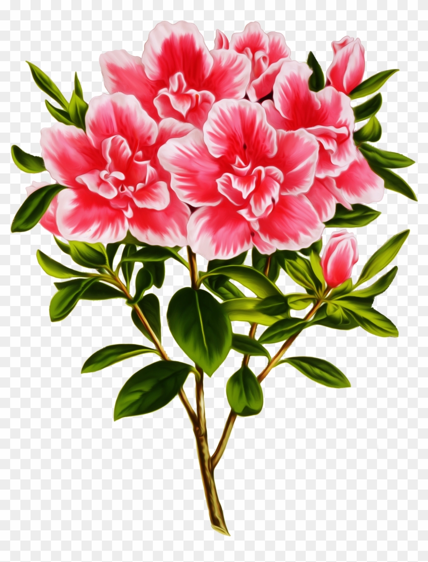 Transparent Flowers, Plant, Corner, Plants - Clip Art #300647