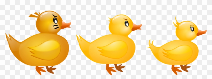 Baby Duck Clipart 11, - Cartoon #300725