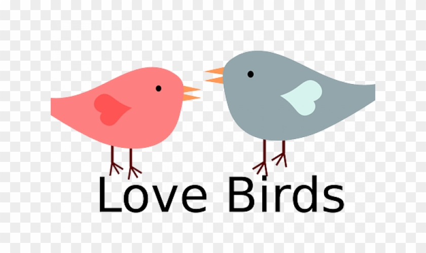 Valentine Love Birds Free Vector Free Psd Vector Icons - ! Mugs #300801