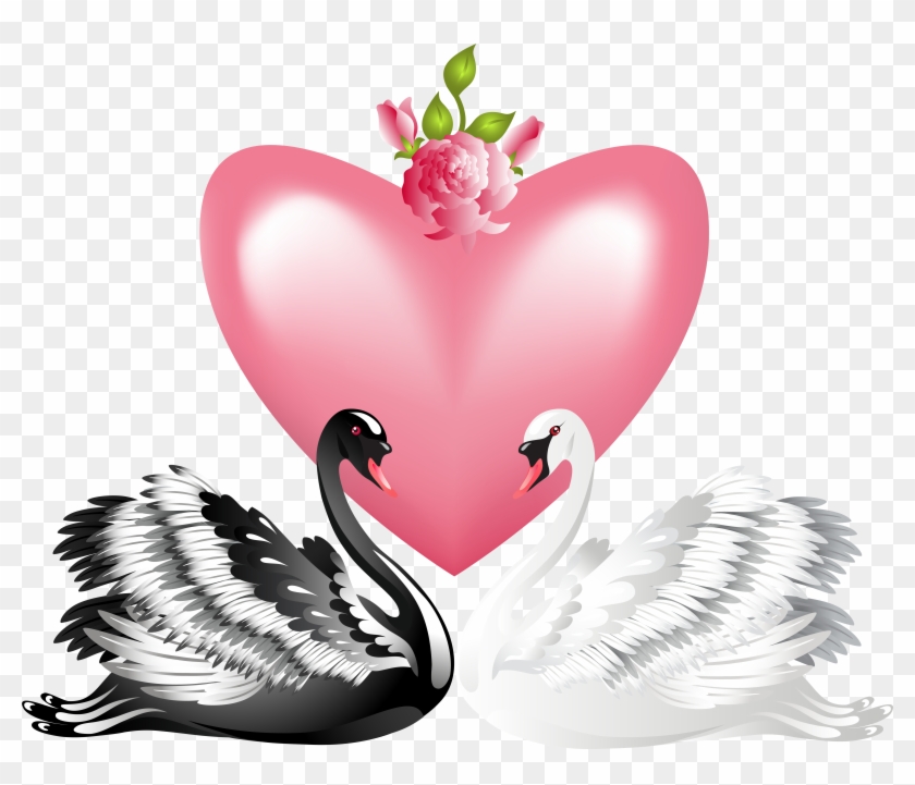 Valentine's Day Love Swans Transparent Png Clip Art - Swan Couple Clipart #300949