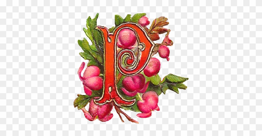 These Are Three Lovely Digital Drop Cap Letter Graphics - Letter P With Flowers #300942