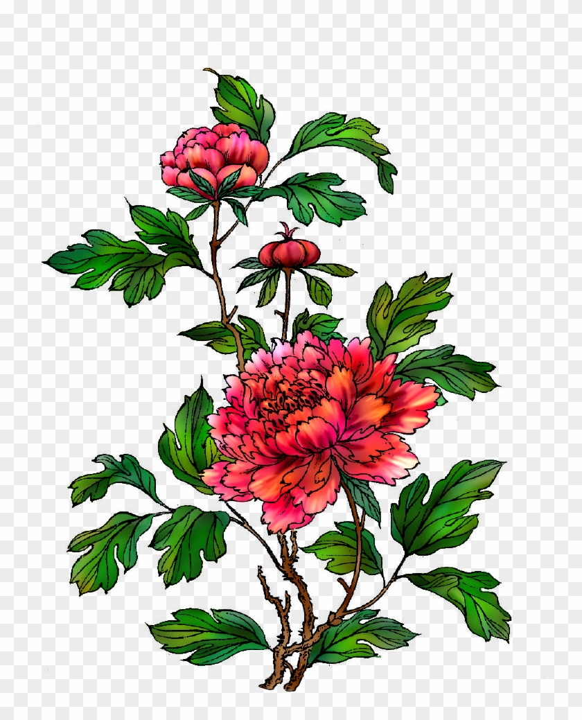 Moutan Peony Clip Art - Moutan Peony Clip Art #301029