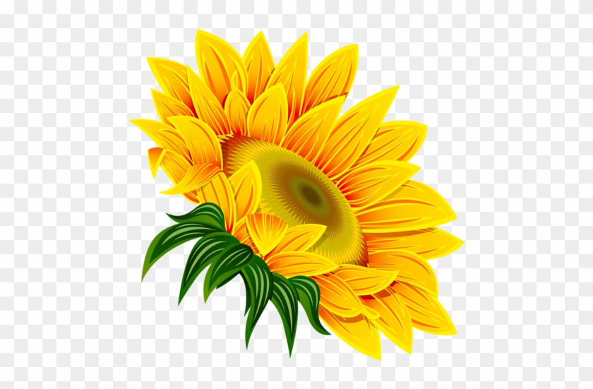 Подсолнухи - Sunflower Clipart #300968
