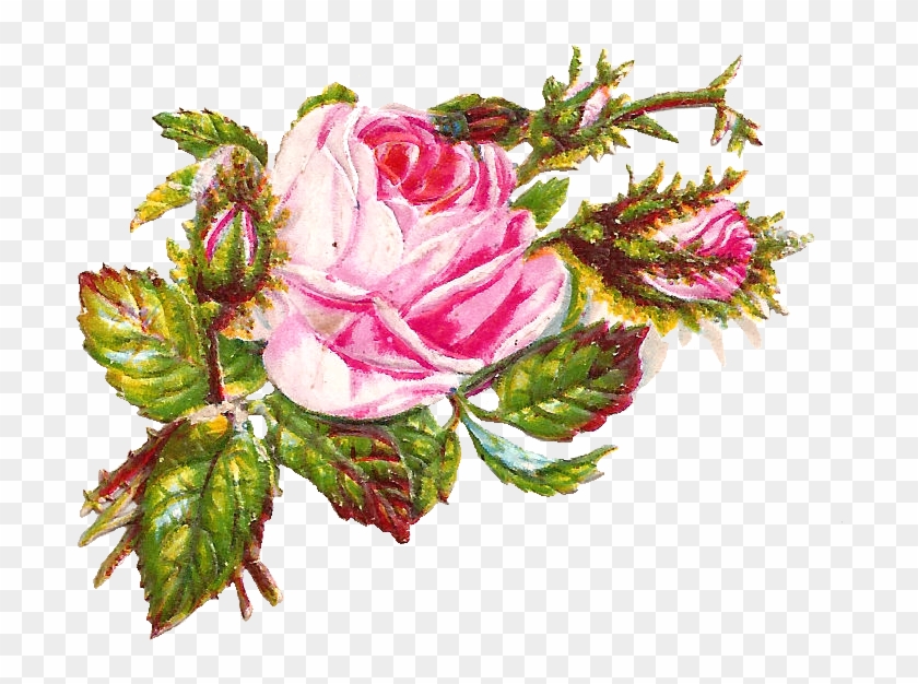 Isn't This Pink Flower Image Gorgeous I've Created - Elegantes Modernes Berufliches Gestreiftes - Rose Visitenkarte #300970