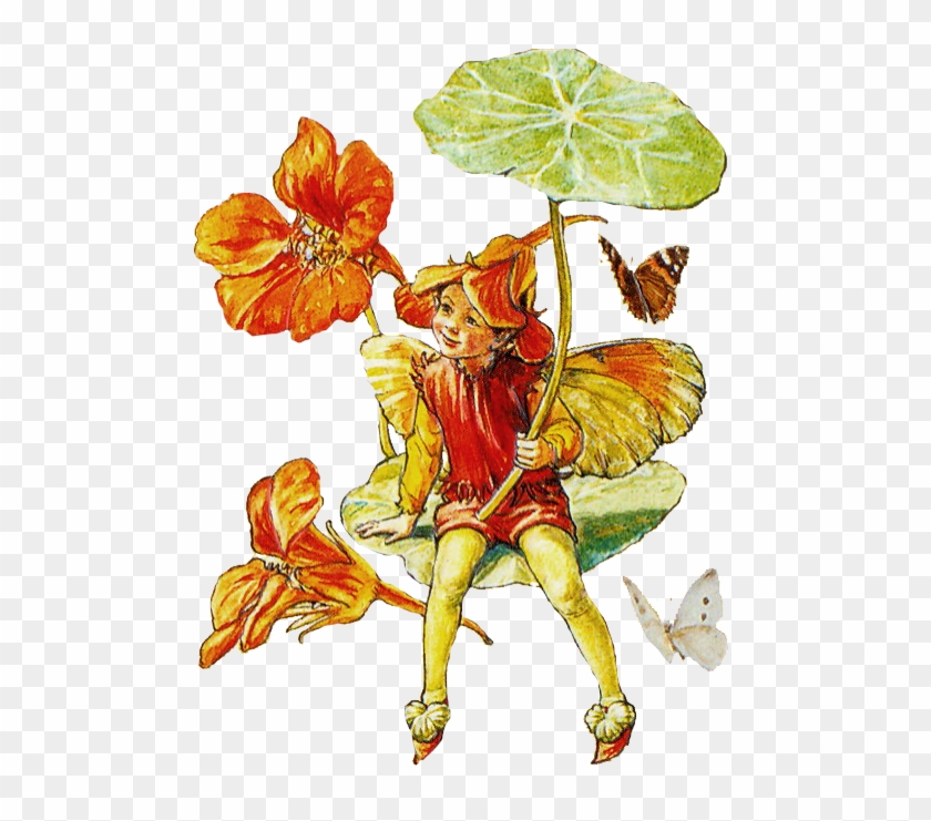 Vintage Fairies - Cicely Mary Barker #301002