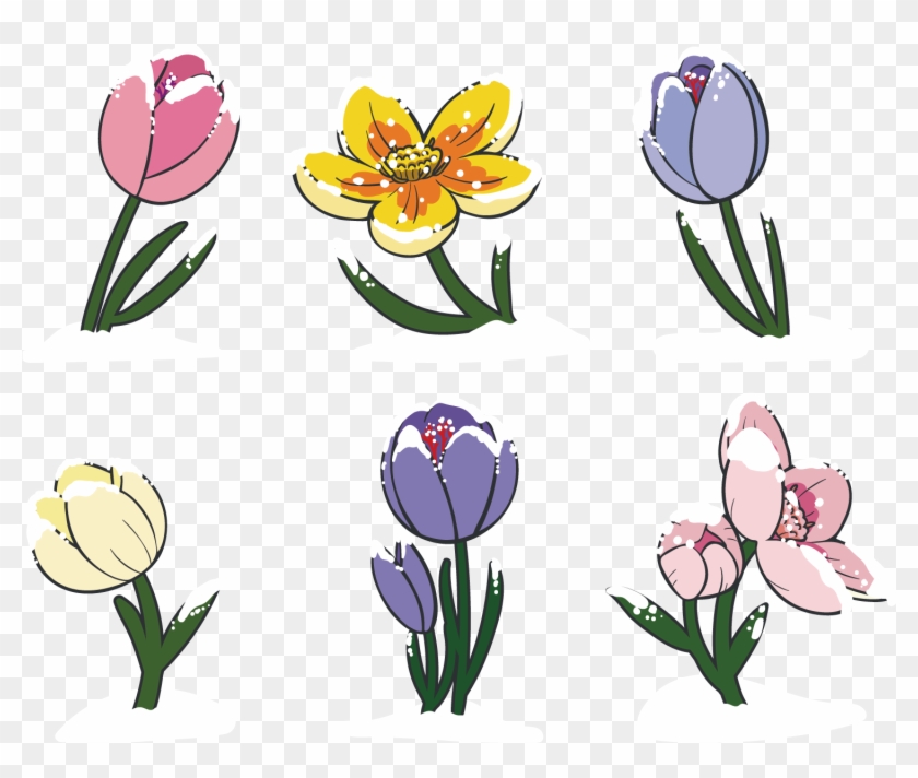 Tulip Floral Design Flower Clip Art - Tulip Floral Design Flower Clip Art #301052