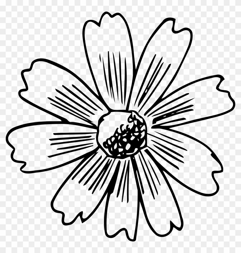 Tiny Flower Clipart Best On - Clip Art #301053