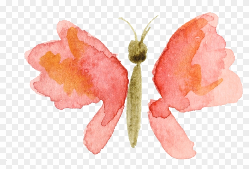 Scrap - Orange Watercolor Butterfly Png #301311