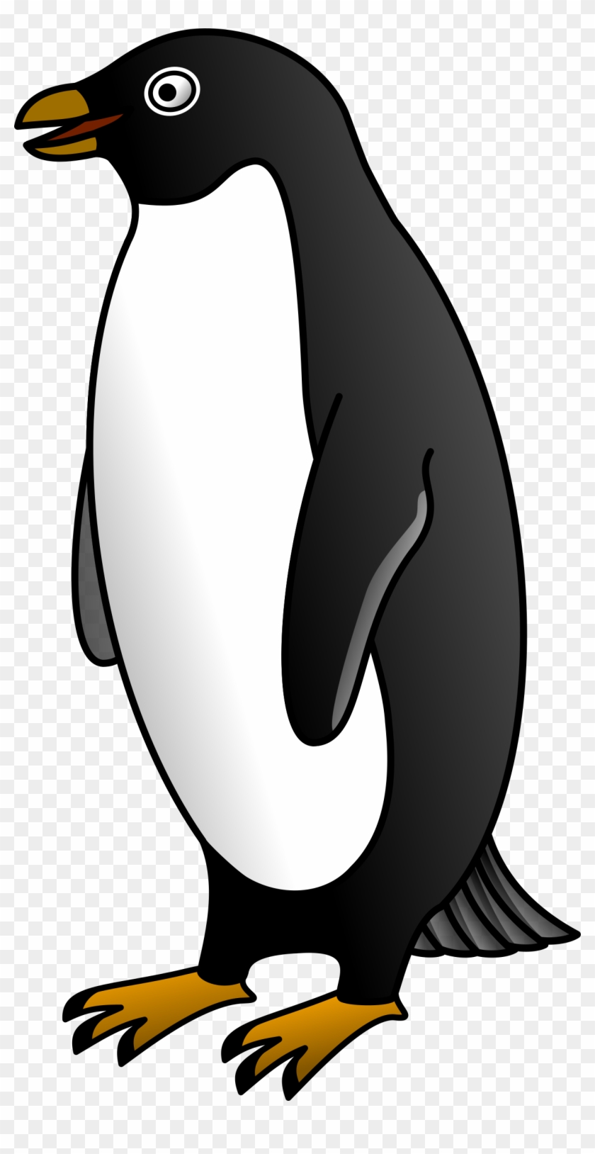 Penguin Images Black And White #301403