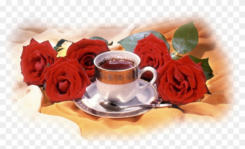 Flowering Tea Coffee Breakfast Teacup - Flowering Tea Coffee Breakfast Teacup #301786