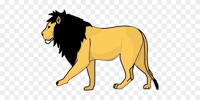 Lion Black Yellow Pride Animal Mammal Mane - Lion Line Drawing #301904