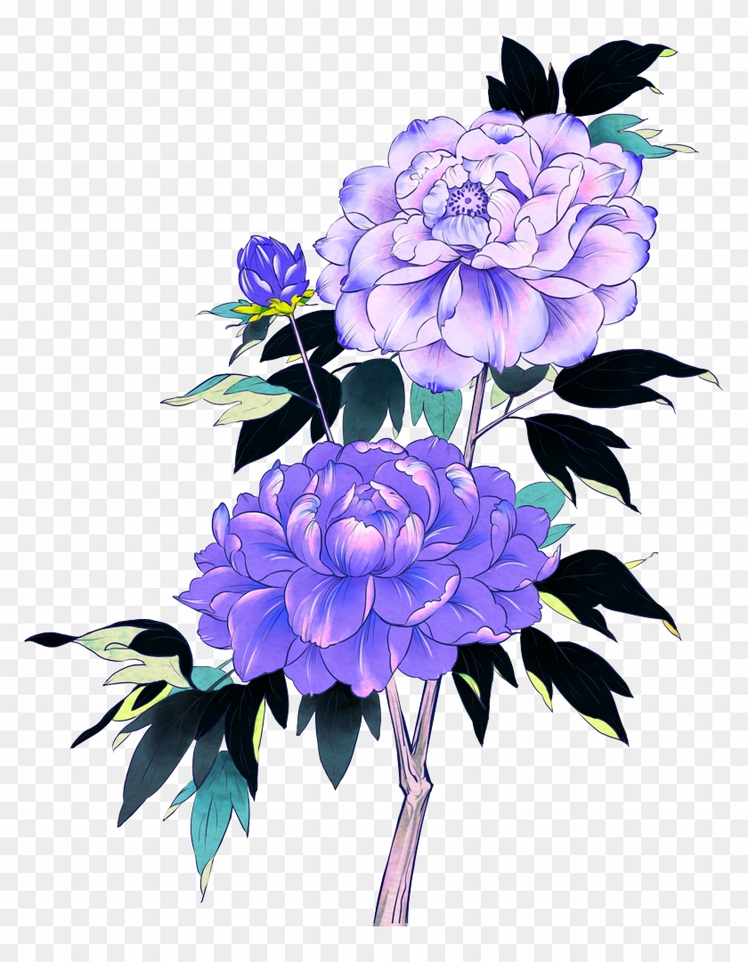 Akky Http - Chrysanths #301990