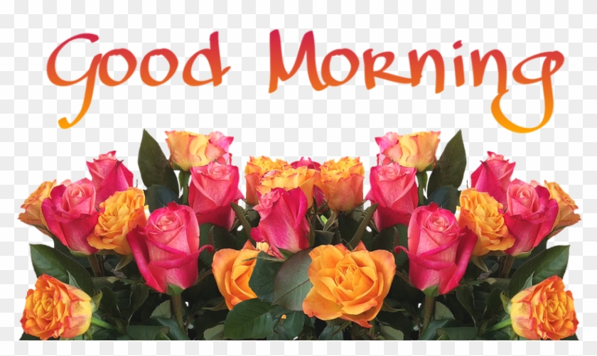 99 Good Morning Wishes With Flowers Pictures - Wood With Flowers Background #302043