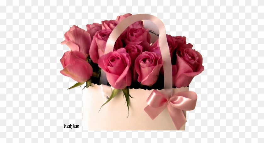 Explore Pink Roses, Good Morning Quotes, And More - Buket Bunga Ulang Tahun #302049