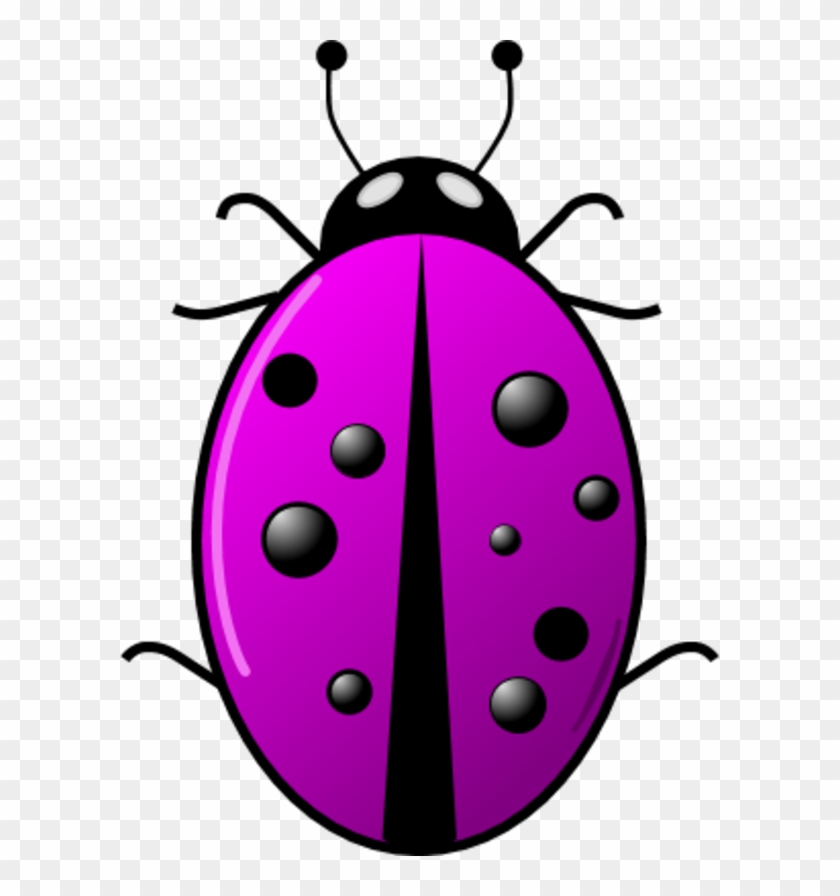 Vector Clip Art - Ladybug Clipart Png #302132