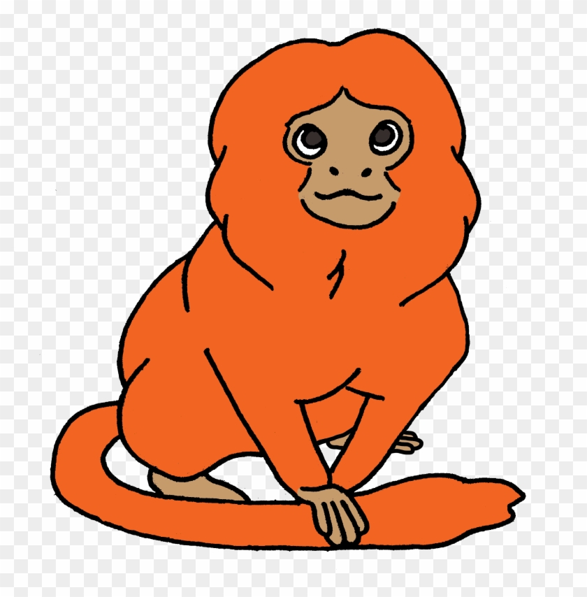 Picture - Golden Lion Tamarin Clipart #302193