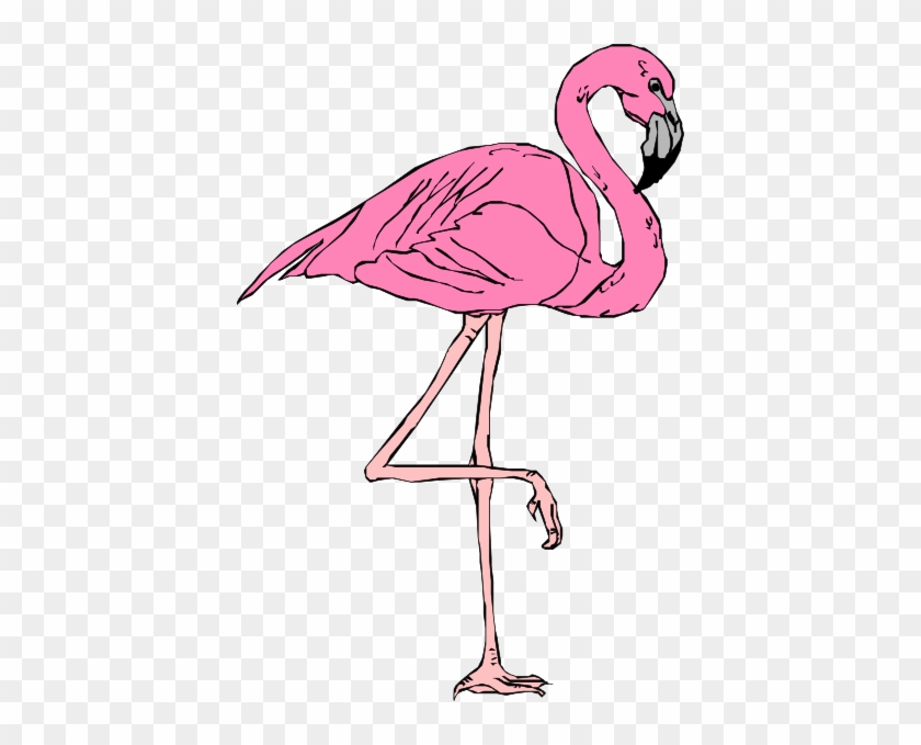 Flamingo Clipart - Le Flamant Rose Dessin #302324