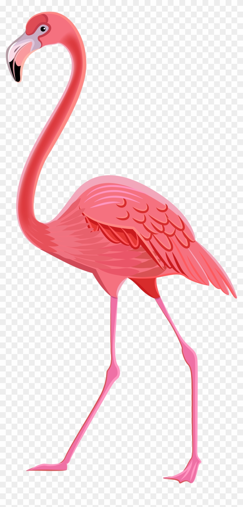 Flamingo Clipart - Flamingo Clipart Png #302377