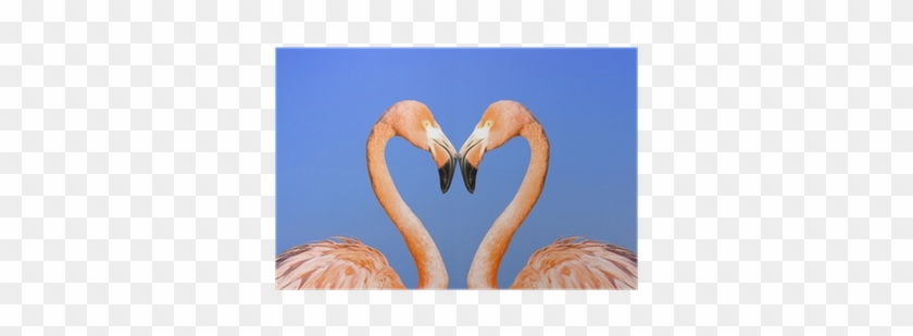 Two Pink Flamingos Like Heart On Blue Sky Background - Greater Flamingo #302374