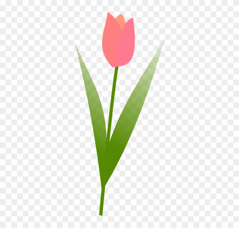 Free Spring Flower Clipart 22, - Tulipan Vector Png #302424
