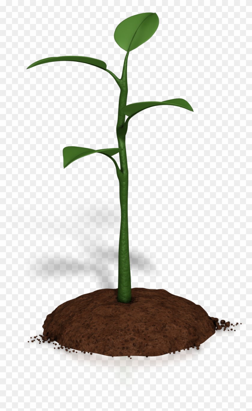 Free Crops Growing Clipart - Microsoft Powerpoint #302584