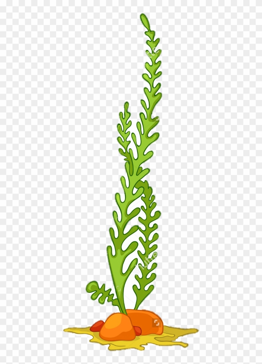 Algae Seaweed Aquatic Plants Clip Art - Algae Vector #302596