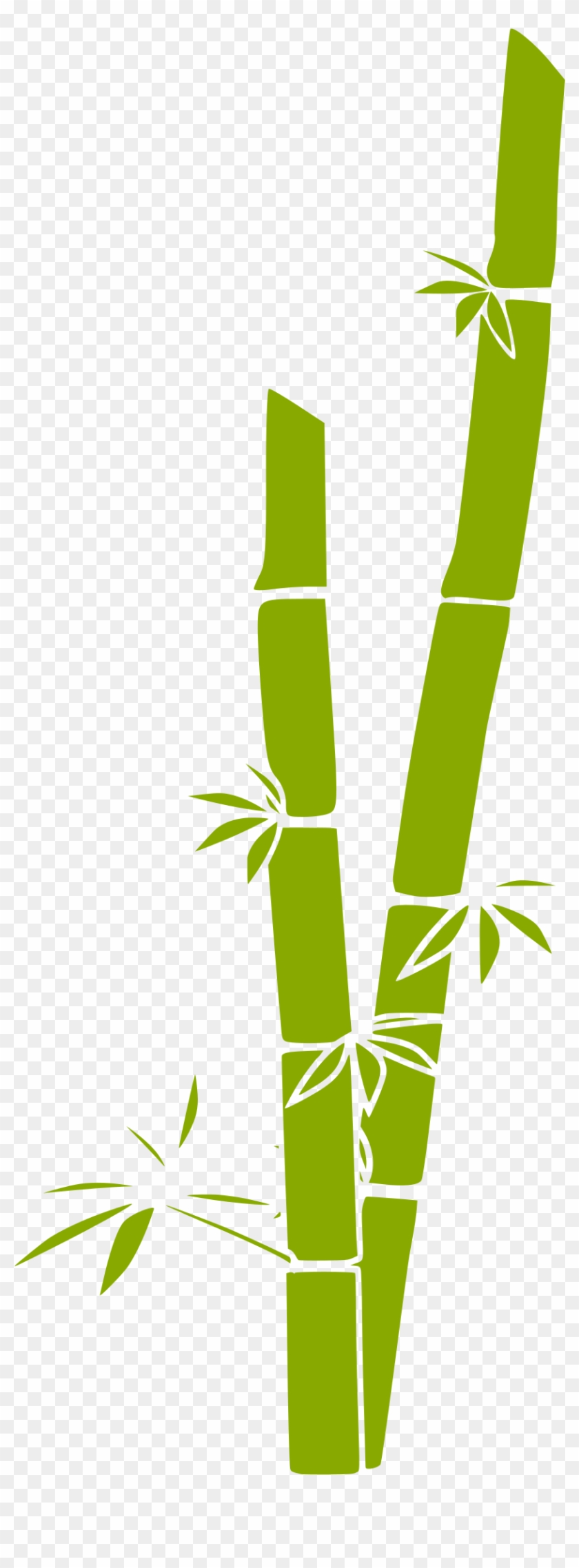 Clip Art Bamboo - Bamboo Clip Art #302601